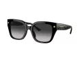 Coach Cr611 Sonnenbrille HC 8392U 50023C