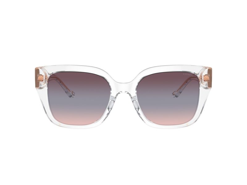 Coach Cr611 Sonnenbrille HC 8392U 51110J