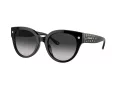 Coach Cr612 Sonnenbrille HC 8393U 50023C