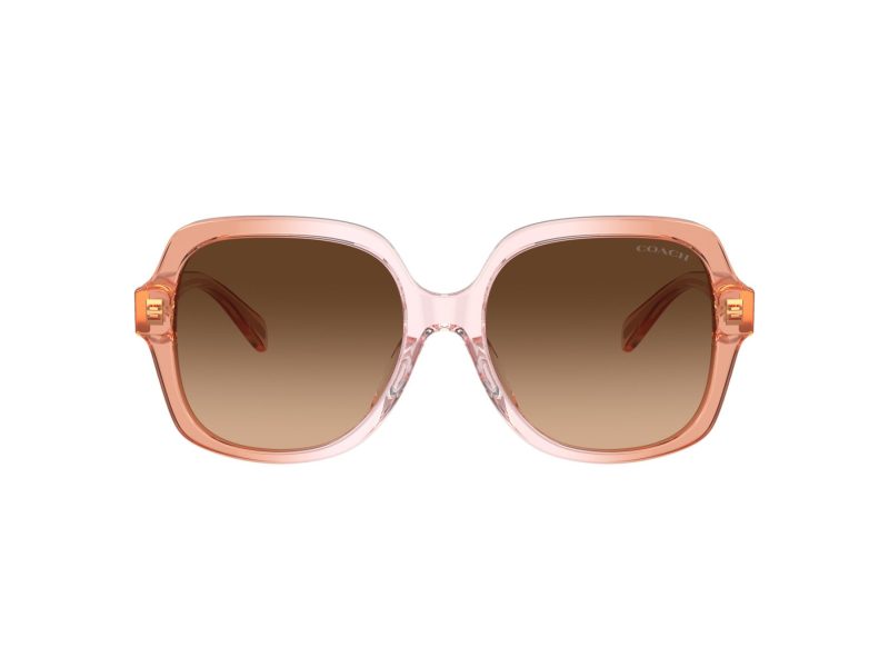 Coach Cr614 Sonnenbrille HC 8395U 581274