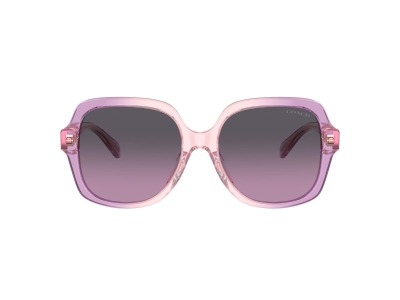 Coach Cr614 Sonnenbrille HC 8395U 581390