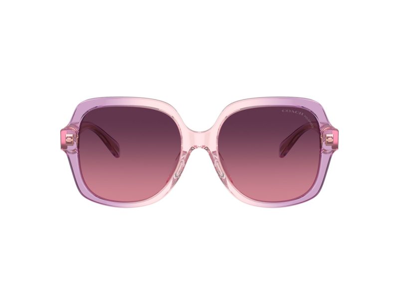 Coach Cr614 Sonnenbrille HC 8395U 5813F4