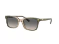 Coach Cr630 Sonnenbrille HC 8398U 5797G9