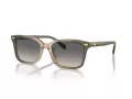 Coach Cr630 Sonnenbrille HC 8398U 5797G9