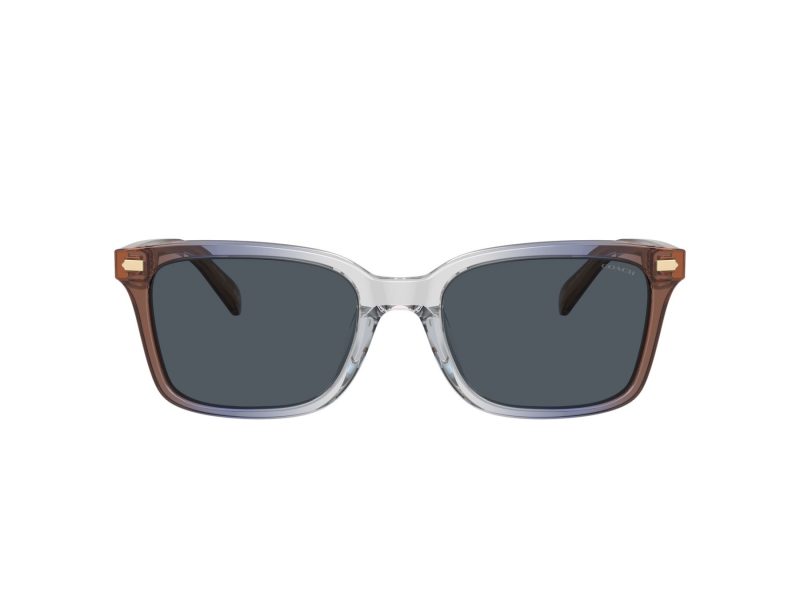 Coach Cr630 Sonnenbrille HC 8398U 581587
