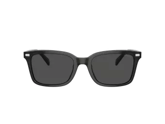 Coach Cr630 Sonnenbrille HC 8398U 581787