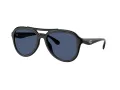Coach Cw183 Sonnenbrille HC 8406U 500287