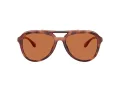 Coach Cw183 Sonnenbrille HC 8406U 577473
