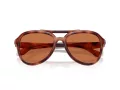 Coach Cw183 Sonnenbrille HC 8406U 577473