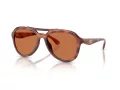 Coach Cw183 Sonnenbrille HC 8406U 577473