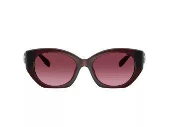Coach Cw194 Sonnenbrille HC 8407U 53938H