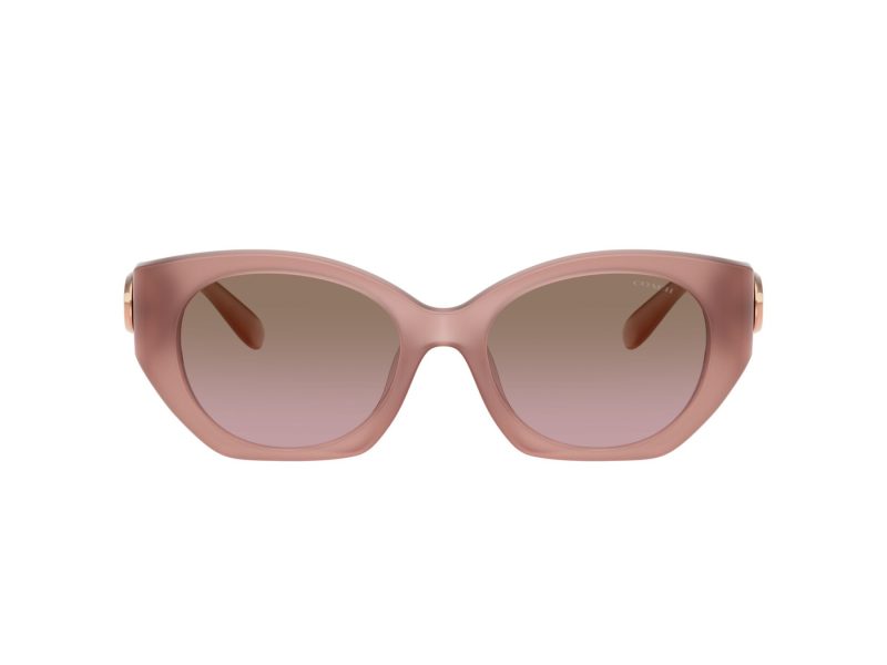 Coach Cw194 Sonnenbrille HC 8407U 583914