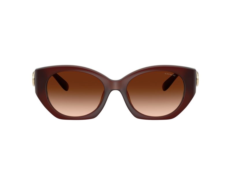 Coach Cw194 Sonnenbrille HC 8407U 584174