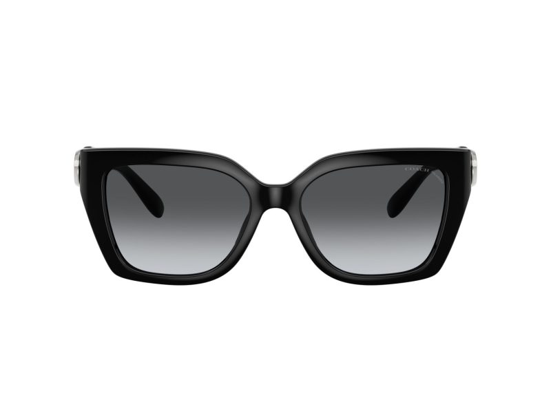 Coach Cw195 Sonnenbrille HC 8408U 5002T3