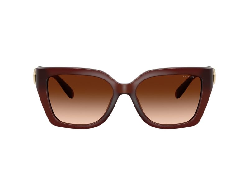 Coach Cw195 Sonnenbrille HC 8408U 584174