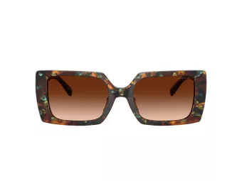 Coach Cw224 Sonnenbrille HC 8409U 584474