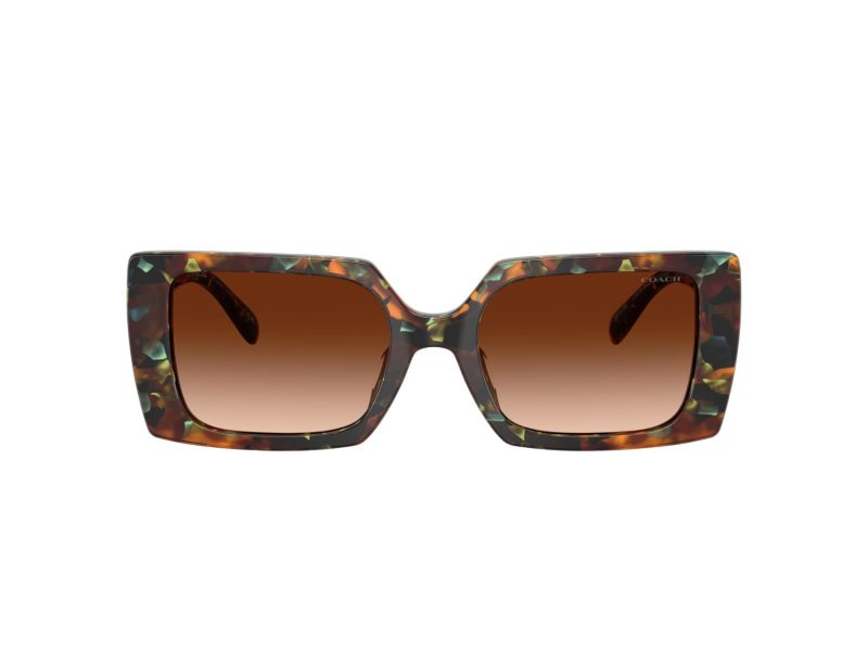 Coach Cw224 Sonnenbrille HC 8409U 584474