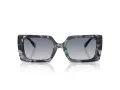 Coach Cw224 Sonnenbrille HC 8409U 584535