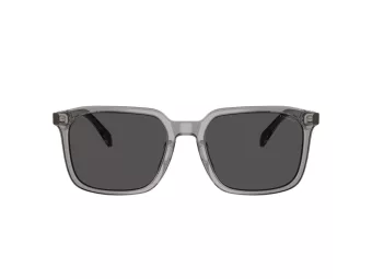 Coach Cw405 Sonnenbrille HC 8411U 584987