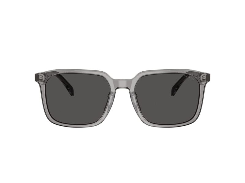 Coach Cw405 Sonnenbrille HC 8411U 584987