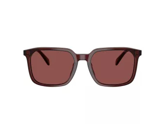 Coach Cw405 Sonnenbrille HC 8411U 585075