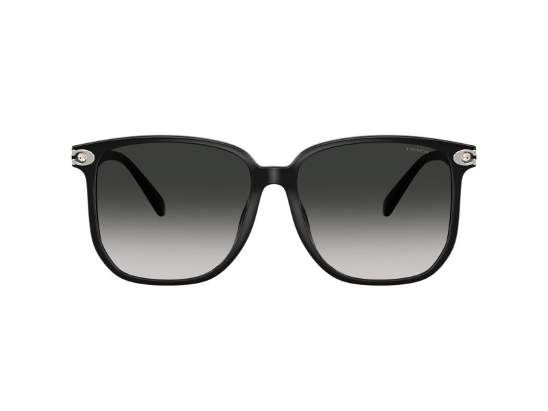 Coach Cw419 Sonnenbrille HC 8413BD 50023C