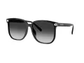 Coach Cw419 Sonnenbrille HC 8413BD 50023C