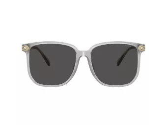 Coach Cw419 Sonnenbrille HC 8413BD 561487