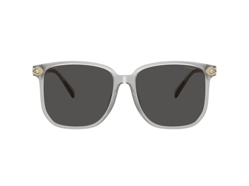 Coach Cw419 Sonnenbrille HC 8413BD 561487