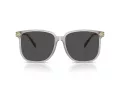Coach Cw419 Sonnenbrille HC 8413BD 561487
