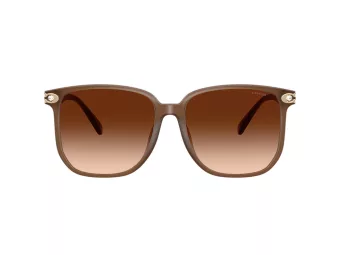 Coach Cw419 Sonnenbrille HC 8413BD 580874