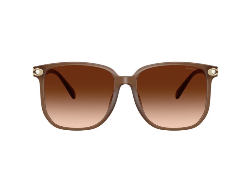 Coach Cw419 Sonnenbrille HC 8413BD 580874