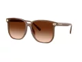 Coach Cw419 Sonnenbrille HC 8413BD 580874