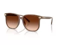 Coach Cw419 Sonnenbrille HC 8413BD 580874