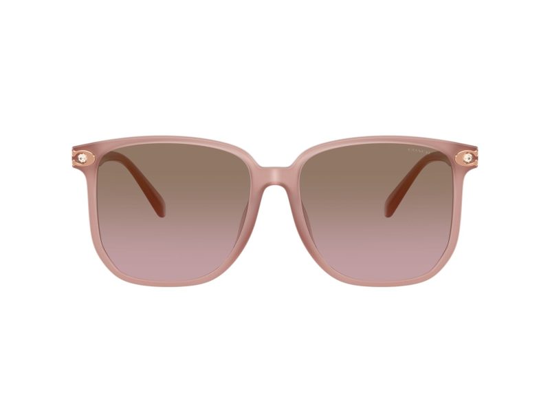 Coach Cw419 Sonnenbrille HC 8413BD 583914