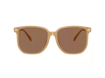 Coach Cw419 Sonnenbrille HC 8413BD 585473