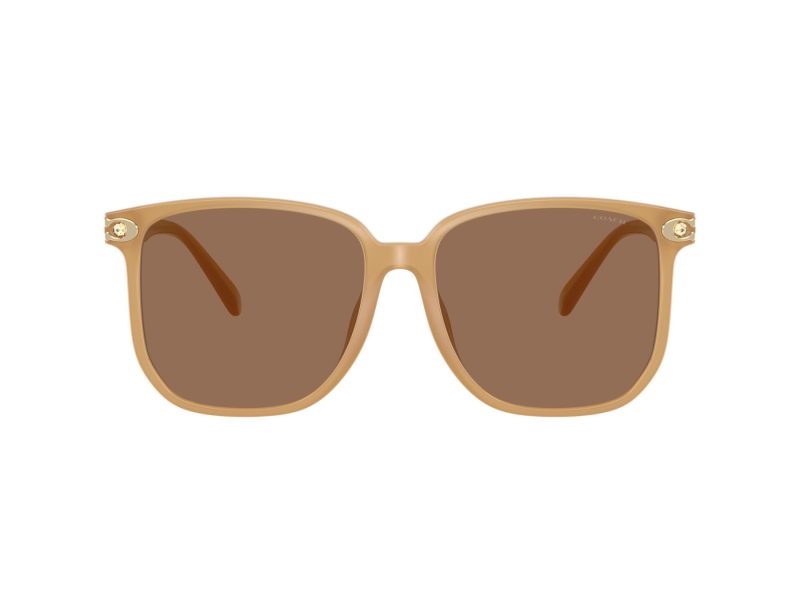 Coach Cw419 Sonnenbrille HC 8413BD 585473