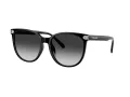 Coach Cw428 Sonnenbrille HC 8414BD 50023C