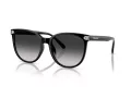 Coach Cw428 Sonnenbrille HC 8414BD 50023C