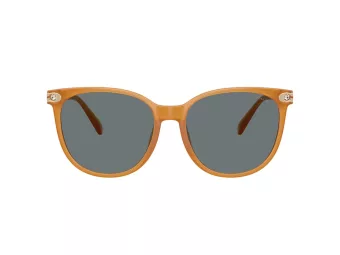 Coach Cw428 Sonnenbrille HC 8414BD 585580