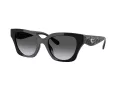 Coach Cad18 Sonnenbrille HC 8418U 5002T3