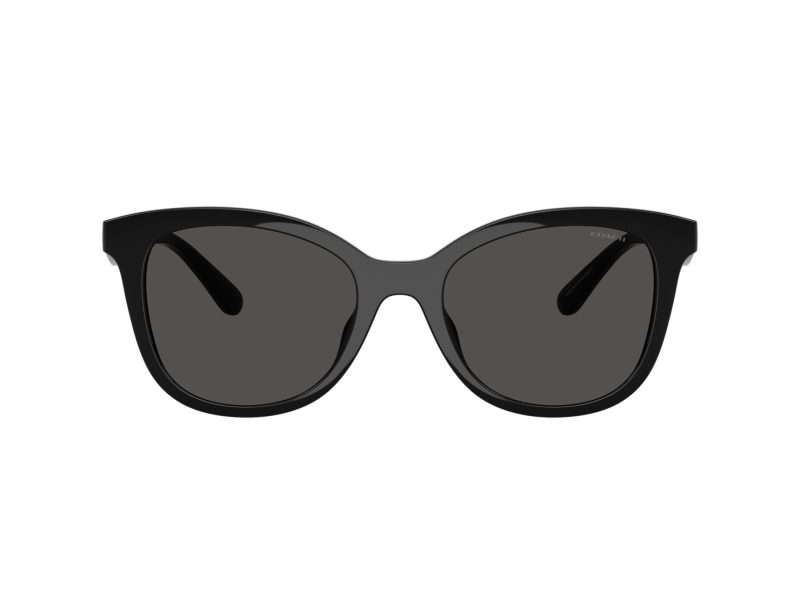 Coach Cad25 Sonnenbrille HC 8419U 500287