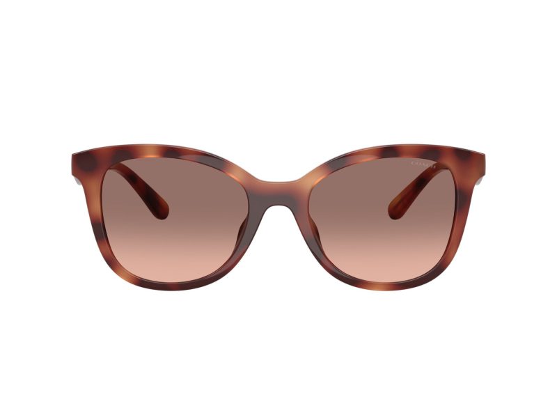 Coach Cad25 Sonnenbrille HC 8419U 577413