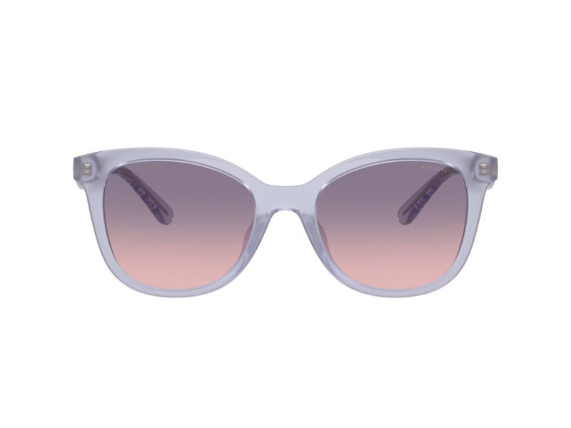 Coach Cad25 Sonnenbrille HC 8419U 5873I6