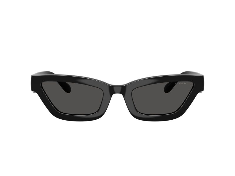 Coach Cad28 Sonnenbrille HC 8420U 500287