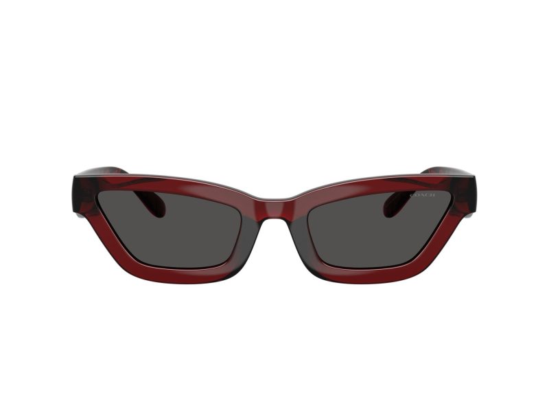 Coach Cad28 Sonnenbrille HC 8420U 587487