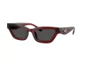 Coach Cad28 Sonnenbrille HC 8420U 587487