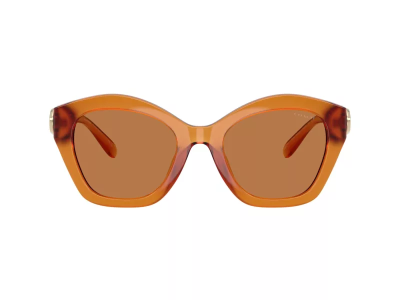 Coach Cad31 Sonnenbrille HC 8421U 564773