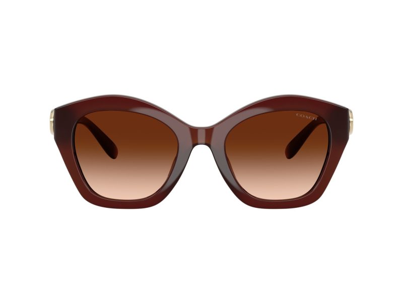 Coach Cad31 Sonnenbrille HC 8421U 584174