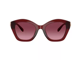 Coach Cad31 Sonnenbrille HC 8421U 58708H